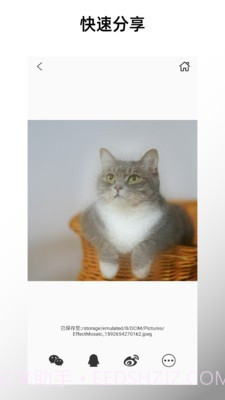 特效马赛克截图4