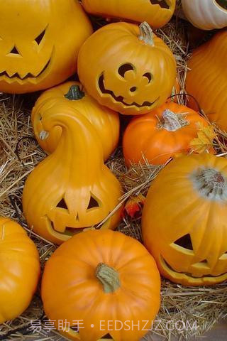 万圣节壁纸2022截图2 万圣节壁纸2022截图2