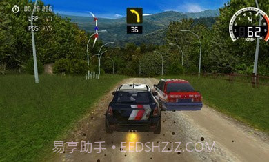 极限赛车最终拉力赛截图4