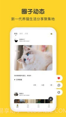 尖叫猫截图1