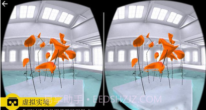 完美的角度VR截图3