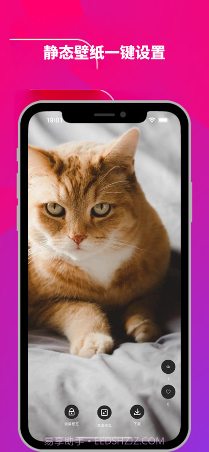 光子铃声壁纸截图4