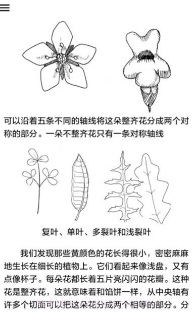 野外植物识别手册截图2