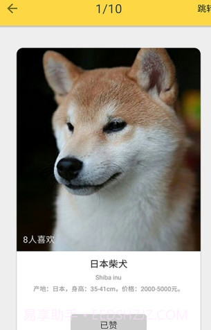 狗狗图鉴截图3 狗狗图鉴截图3