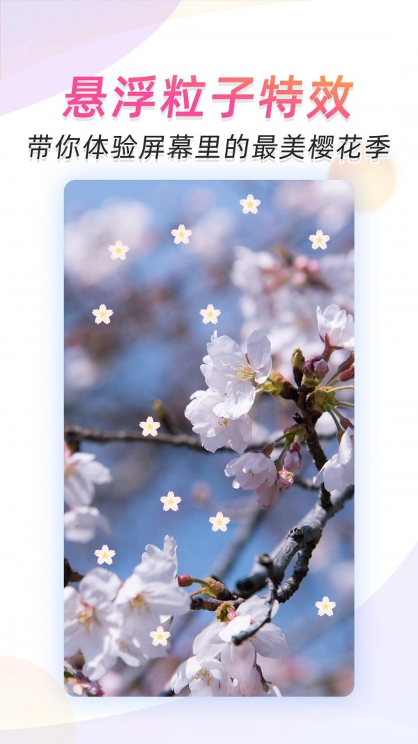 微视频壁纸截图5