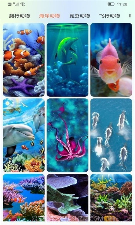 广场动物园截图1