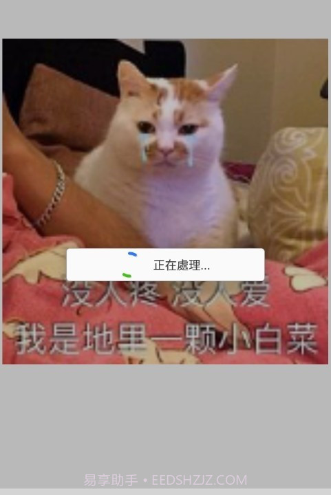 GIF编辑器Pro截图2 GIF编辑器Pro截图2