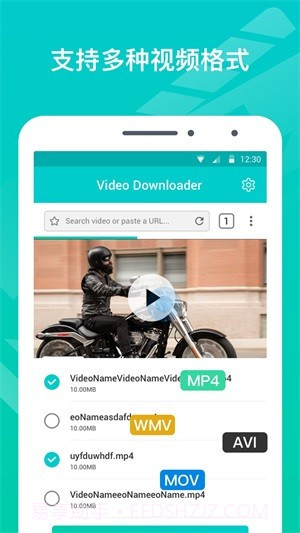 VideoDownloader截图3 VideoDownloader截图3