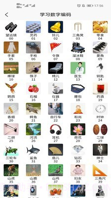 实用记忆训练截图3