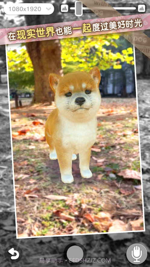 我的梦中情狗截图10