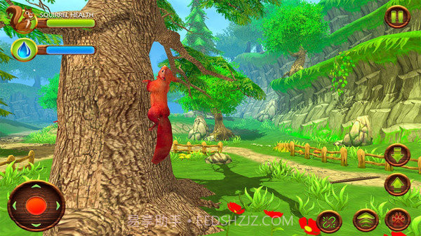 野生松鼠模拟器截图1 野生松鼠模拟器截图1