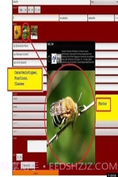 ABA自闭症教育截图1 ABA自闭症教育截图1