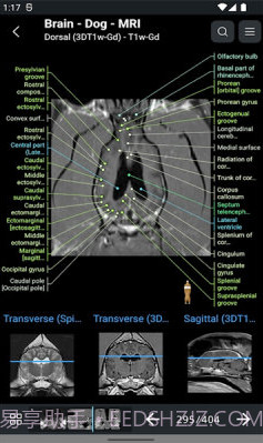 vet Anatomyv3.1.0截图2 vet Anatomyv3.1.0截图2