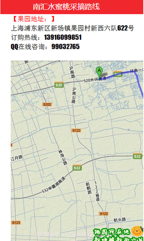 南汇水蜜桃手机网截图4