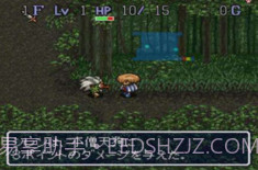 不可思议的迷宫（风来的西林）截图4