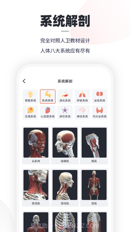 口袋解剖截图1 口袋解剖截图1