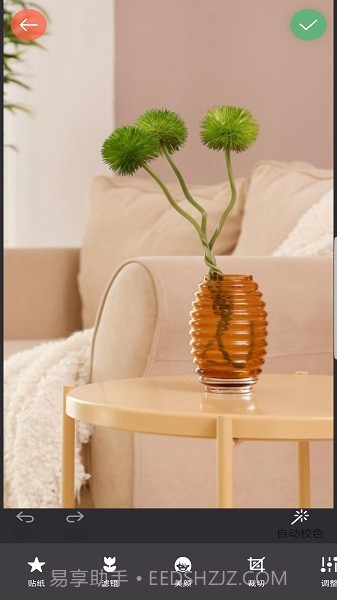 镜像相机App截图2