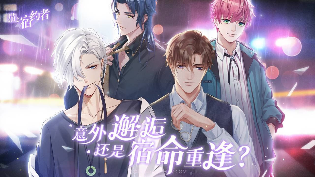 猫之宿约者截图1