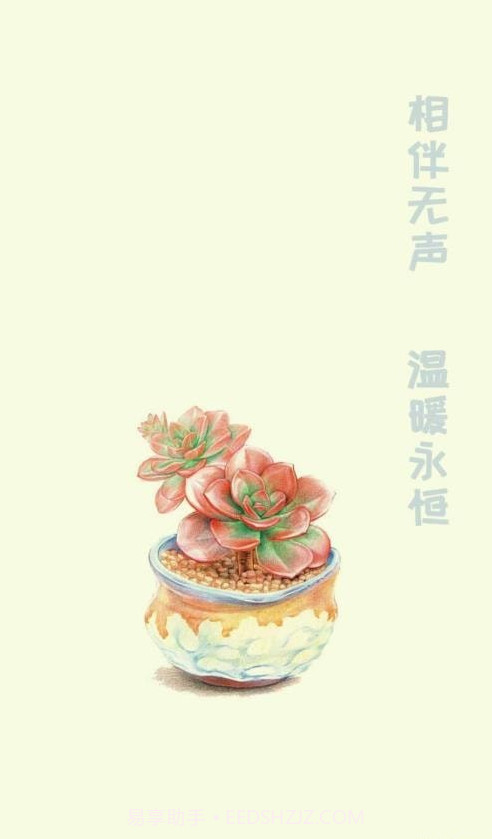 小墨多肉日记截图2