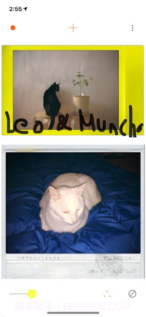 PLOT截图4 PLOT截图4