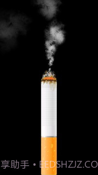 卷烟模拟器截图2 卷烟模拟器截图2