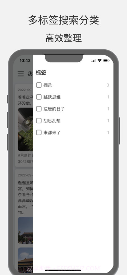 大树日记截图3