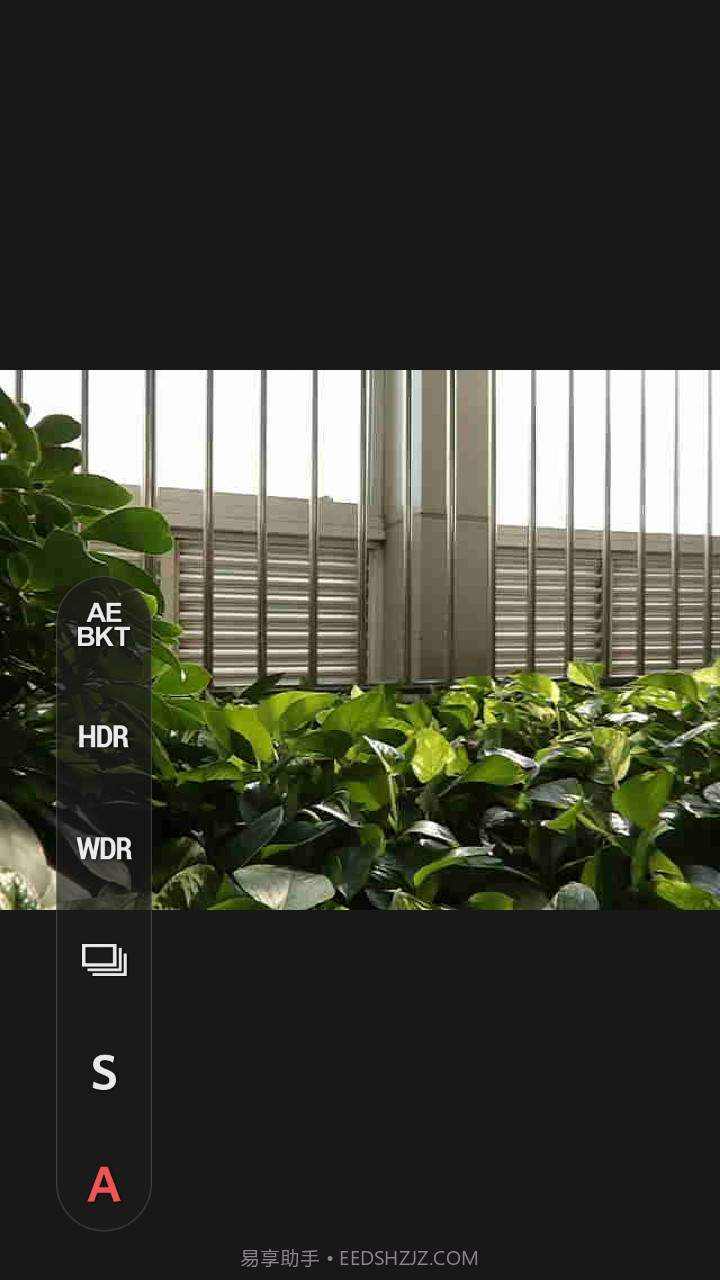 PIXPRO Remote Viewer截图3