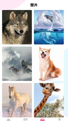 最强动物园截图4