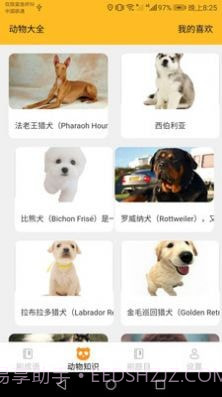 完美刷刷截图4 完美刷刷截图4