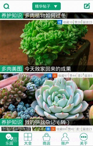 多肉植物截图5