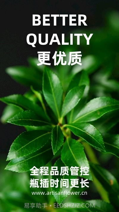 匠人花材客户端截图2