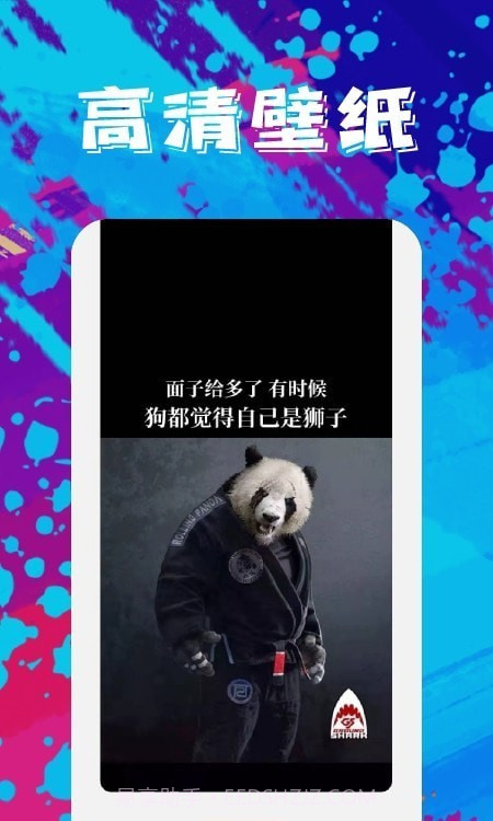 今日手机壁纸截图1