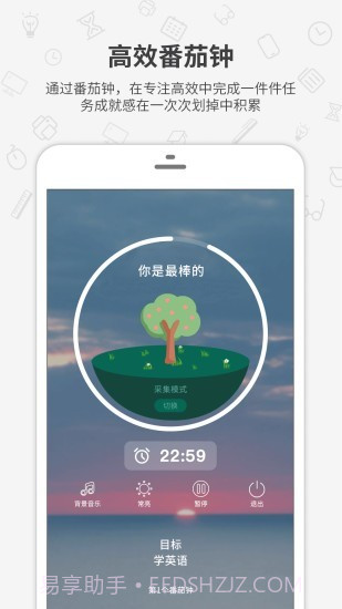 番茄森林截图1 番茄森林截图1
