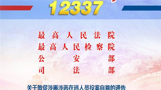 12337全国扫黑办智能化举报正式版平台截图1 12337全国扫黑办智能化举报正式版平台截图1