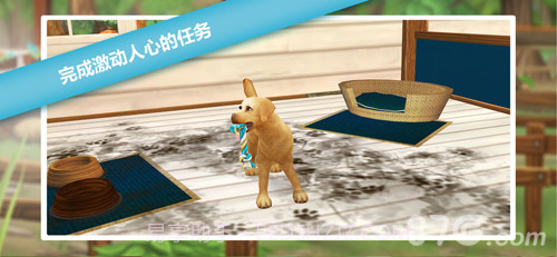 猫舍截图5 猫舍截图5