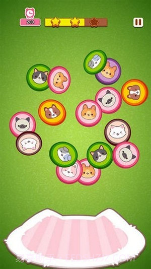 喵喵酒店照片截图2