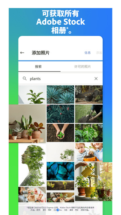 adobe express设计中文版截图2
