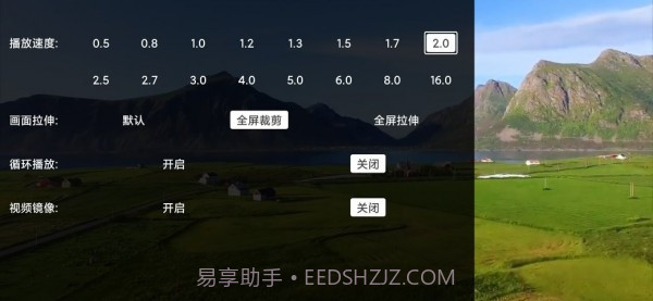 Alook DLNA投屏截图3