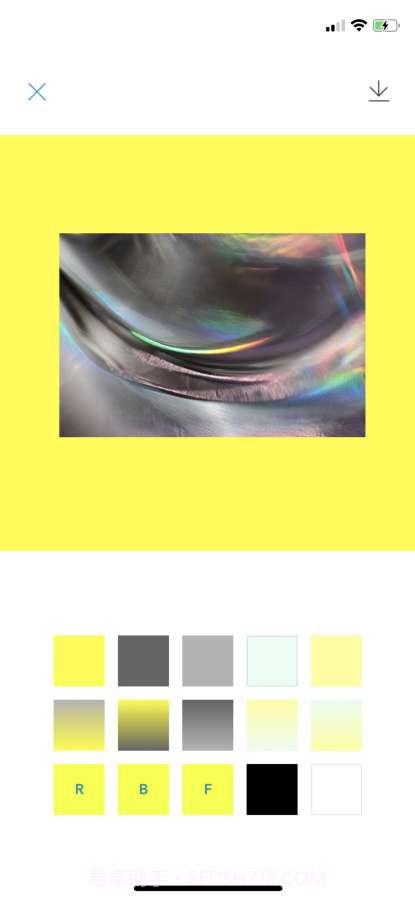 DYED截图4 DYED截图4