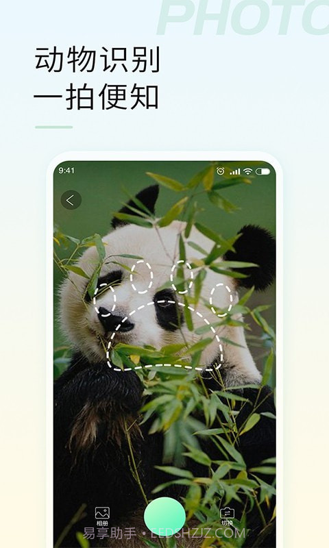 智能拍照识物截图3 智能拍照识物截图3