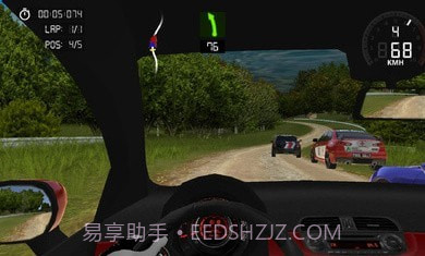 极限赛车最终拉力赛截图2