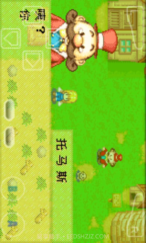 牧场物语：矿石镇的伙伴们女孩版截图3