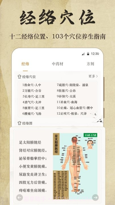 中医经络按摩宝典截图2