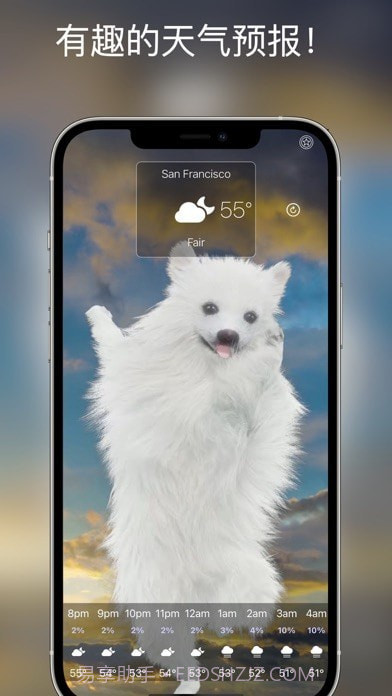 狗天气直播截图1