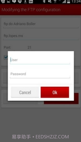 filezilla精简版v3.51.0截图3