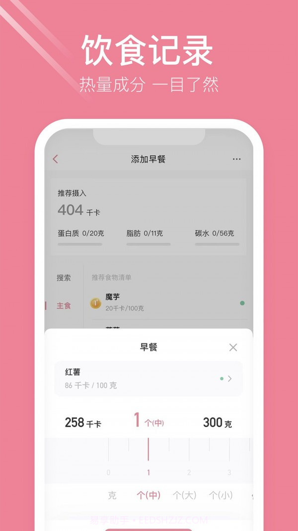 体重小本极速版截图2