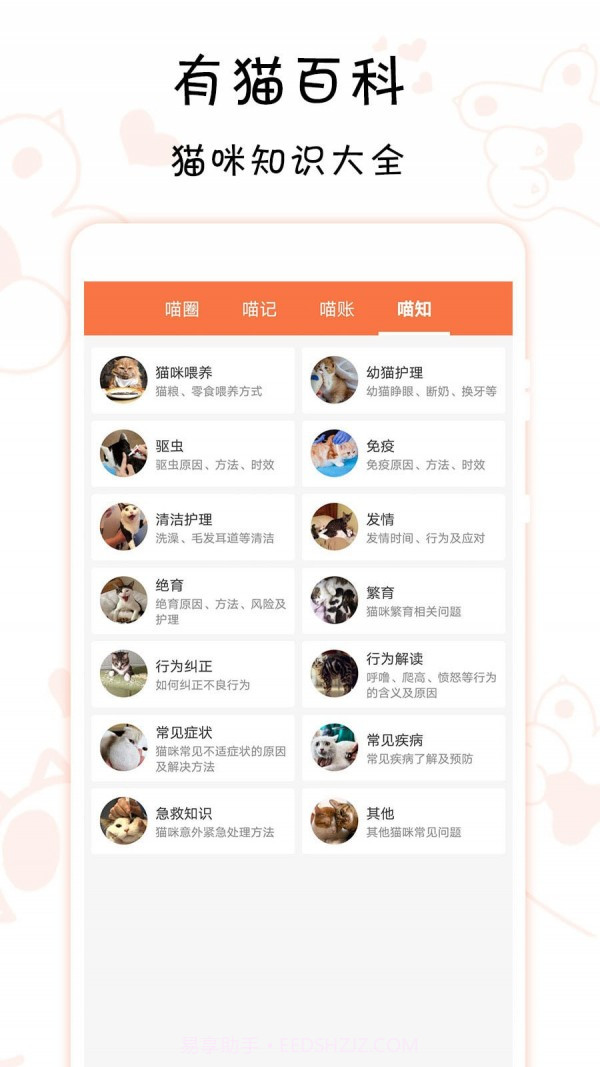 有猫截图3 有猫截图3