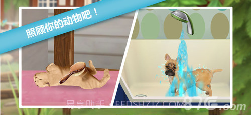 猫舍截图2 猫舍截图2