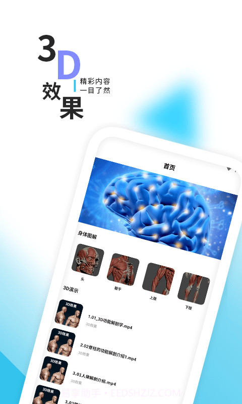 3d人体解剖学三维图谱截图1 3d人体解剖学三维图谱截图1