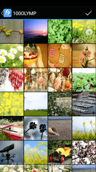 OLYMPUS Image Share截图1